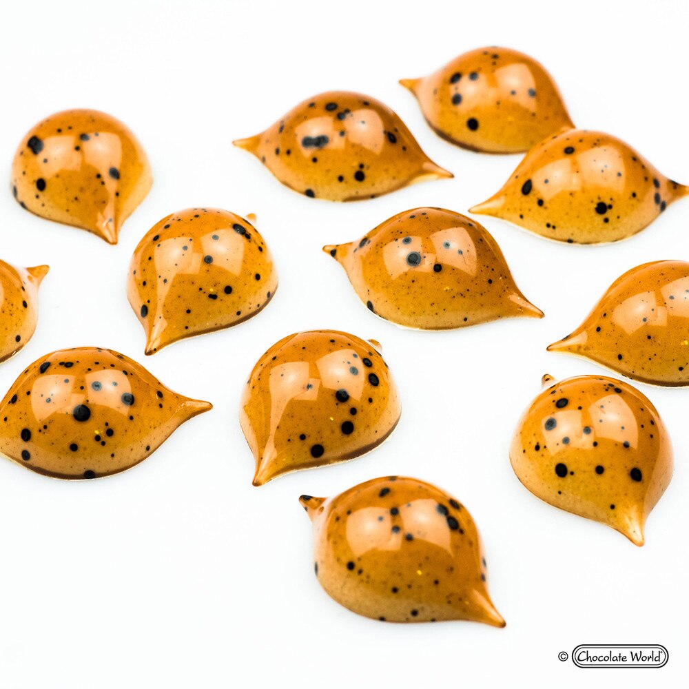 Chocolate World Mould - Praline Curve - Frank Haasnoot